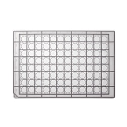 Simport&trade; Scientific&nbsp;Bioblock&trade; Polypropylene Deep Well Plates, V-bottom