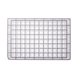 Simport&trade; Scientific&nbsp;Bioblock&trade; Polypropylene Deep Well Plates, U-bottom