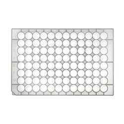 Simport&trade; Scientific&nbsp;Bioblock&trade; Polypropylene Deep Well Plates, U-bottom