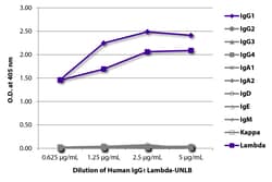 Southern Biotechnology Associates&nbsp;IgG1 Human, Unconjugated, Clone: , Isotype Control, Southern Biotech&trade;