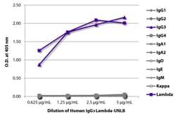 Southern Biotechnology Associates&nbsp;IgG3 Human, Unconjugated, Clone: , Isotype Control, Southern Biotech&trade;