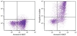 SouthernBiotech&trade;&nbsp;Aposcreen Annexin V-Biot