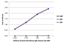 IgM Goat anti-Mouse, Human ads, HRP, Polyclonal, Southern Biotech Horseradish