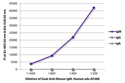 IgM Goat anti-Mouse, Human ads, AF 488, Polyclonal, Southern Biotech Alexa