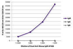 IgM Goat anti-Mouse, AF 488, Polyclonal, Southern Biotech Alexa Fluor 488,