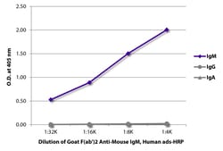 Southern Biotechnology Associates&nbsp;IgM Goat F(ab')2 anti-Mouse, Human ads, HRP, Polyclonal, Southern Biotech&trade;
