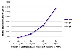 Southern Biotechnology Associates&nbsp;IgM Goat F(ab')2 anti-Mouse, Human ads, AF 647, Polyclonal, Southern Biotech&trade;