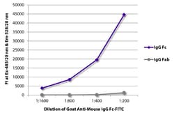 Southern Biotechnology Associates&nbsp;IgG Fc Goat anti-Mouse, FITC, Polyclonal, Southern Biotech&trade;