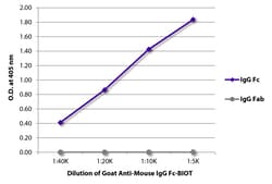 Southern Biotechnology Associates&nbsp;IgG Fc Goat anti-Mouse, Biotin, Polyclonal, Southern Biotech&trade;