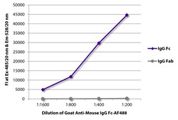 Southern Biotechnology Associates&nbsp;IgG Fc Goat anti-Mouse, AF 488, Polyclonal, Southern Biotech&trade;