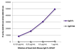 Southern Biotechnology Associates&nbsp;IgG Fc Goat anti-Mouse, AF 647, Polyclonal, Southern Biotech&trade;