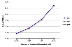 IgA Goat anti-Mouse, HRP, Polyclonal, Southern Biotech 1.0 mL | Buy Online | Southern Biotechnology Associates | Fisher Scientific