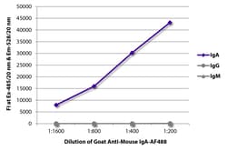 IgA Goat anti-Mouse, AF 488, Polyclonal, Southern Biotech&trade;