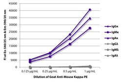 Kappa Goat anti-Mouse, R-PE, Polyclonal, Southern Biotech&trade;
