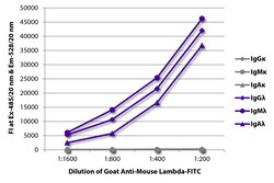 Lambda Goat anti-Mouse, FITC, Polyclonal, Southern Biotech 1.0 mg | Buy Online | Southern Biotechnology Associates | Fisher Scientific