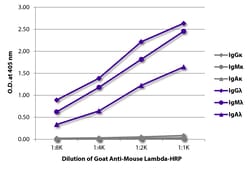 Lambda Goat anti-Mouse, HRP, Polyclonal, Southern Biotech 1.0 mL | Buy Online | Southern Biotechnology Associates | Fisher Scientific