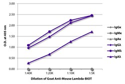 Southern Biotechnology Associates&nbsp;Lambda Goat anti-Mouse, Biotin, Polyclonal, Southern Biotech&trade;