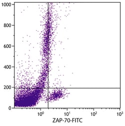 ZAP-70 Mouse anti-Human, FITC, Clone: SBZAP, Southern Biotech 0.1 mg | Buy Online | Southern Biotechnology Associates | Fisher Scientific