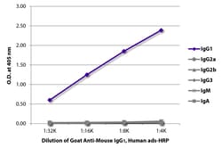 IgG1 Goat anti-Mouse, Human ads, HRP, Polyclonal, Southern Biotech 1.0 mL | Buy Online | Southern Biotechnology Associates | Fisher Scientific