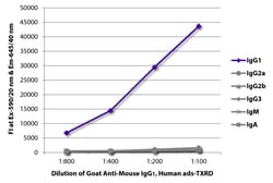 Southern Biotechnology Associates&nbsp;IgG1 Goat anti-Mouse, Human ads, Texas Red, Polyclonal, Southern Biotech&trade;