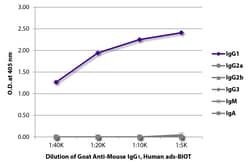Southern Biotechnology Associates&nbsp;IgG1 Goat anti-Mouse, Human ads, Biotin, Polyclonal, Southern Biotech&trade;
