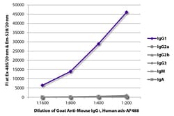 Southern Biotechnology Associates&nbsp;IgG1 Goat anti-Mouse, Human ads, AF 488, Polyclonal, Southern Biotech&trade;