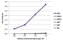 Southern Biotechnology Associates IgG1 Goat anti-Mouse, AP, Polyclonal, Southern Biotech™