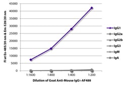 Southern Biotechnology Associates&nbsp;IgG1 Goat anti-Mouse, AF 488, Polyclonal, Southern Biotech&trade;