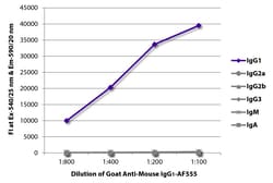Southern Biotechnology Associates&nbsp;IgG1 Goat anti-Mouse, AF 555, Polyclonal, Southern Biotech&trade;