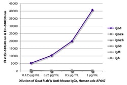Southern Biotechnology Associates&nbsp;IgG1 Goat F(ab')2 anti-Mouse, Human ads, AF 647, Polyclonal, Southern Biotech&trade;