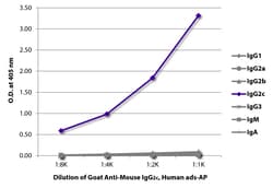 Southern Biotechnology Associates&nbsp;IgG2c Goat anti-Mouse, Human ads, AP, Polyclonal, Southern Biotech&trade;
