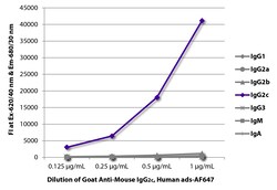 Southern Biotechnology Associates&nbsp;IgG2c Goat anti-Mouse, Human ads, AF 647, Polyclonal, Southern Biotech&trade;