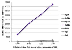 Southern Biotechnology Associates&nbsp;IgG2c Goat anti-Mouse, Human ads, AF 555, Polyclonal, Southern Biotech&trade;