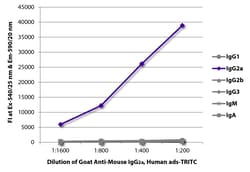 Southern Biotechnology Associates&nbsp;IgG2a Goat anti-Mouse, Human ads, TRITC (Rhodamine), Polyclonal, Southern Biotech&trade;