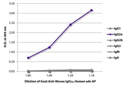 Southern Biotechnology Associates&nbsp;IgG2a Goat anti-Mouse, Human ads, AP, Polyclonal, Southern Biotech&trade;
