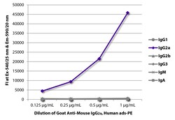 IgG2a Goat anti-Mouse, Human ads, R-PE, Polyclonal, Southern Biotech R-phycoerythrin,