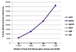 Southern Biotechnology Associates&nbsp;IgG2a Goat anti-Mouse, Human ads, AF 488, Polyclonal, Southern Biotech&trade;