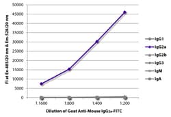 Southern Biotechnology Associates&nbsp;IgG2a Goat anti-Mouse, FITC, Polyclonal, Southern Biotech&trade;