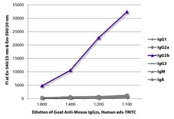 Southern Biotechnology Associates&nbsp;IgG2b Goat anti-Mouse, Human ads, TRITC (Rhodamine), Polyclonal, Southern Biotech&trade;