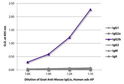 IgG2b Goat anti-Mouse, Human ads, AP, Polyclonal, Southern Biotech&trade;