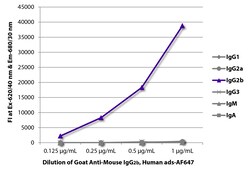 IgG2b Goat anti-Mouse, Human ads, AF 647, Polyclonal, Southern Biotech