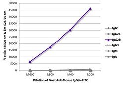 Southern Biotechnology Associates&nbsp;IgG2b Goat anti-Mouse, FITC, Polyclonal, Southern Biotech&trade;
