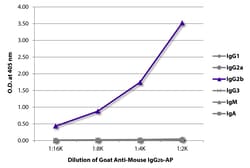 Southern Biotechnology Associates&nbsp;IgG2b Goat anti-Mouse, AP, Polyclonal, Southern Biotech&trade;