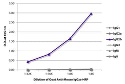 IgG2b Goat anti-Mouse, HRP, Polyclonal, Southern Biotech&trade;