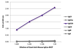 Southern Biotechnology Associates&nbsp;IgG2b Goat anti-Mouse, Biotin, Polyclonal, Southern Biotech&trade;