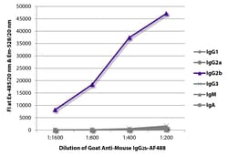 Southern Biotechnology Associates&nbsp;IgG2b Goat anti-Mouse, AF 488, Polyclonal, Southern Biotech&trade;