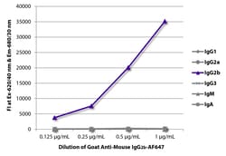 Southern Biotechnology Associates&nbsp;IgG2b Goat anti-Mouse, AF 647, Polyclonal, Southern Biotech&trade;