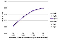 IgG2b Goat F(ab')2 anti-Mouse, Human ads, Biotin, Polyclonal, Southern Biotech 0.5 mg | Buy Online | Southern Biotechnology Associates | Fisher Scientific