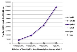 Southern Biotechnology Associates&nbsp;IgG2b Goat F(ab')2 anti-Mouse, Human ads, R-PE, Polyclonal, Southern Biotech&trade;