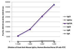 Southern Biotechnology Associates&nbsp;IgG2b Goat anti-Mouse, Human/Bovine/Horse SP ads, FITC, Polyclonal, Southern Biotech&trade;